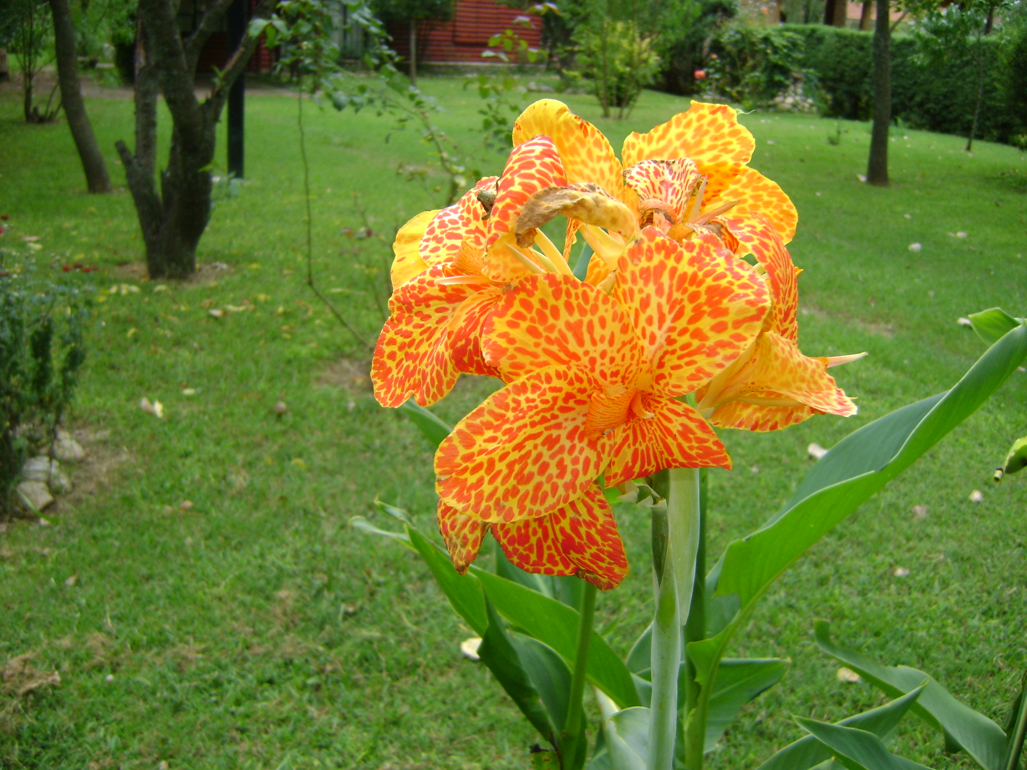 fotos/2011 - Los Reartes/DSC03258.JPG